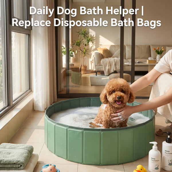 Foldable Dog Pool for Summer Fun